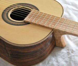 Gitara Rachonsky 118