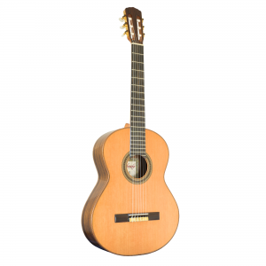 Gitara Rachonsky 211